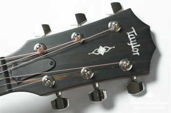 314ce V-Class - Natural